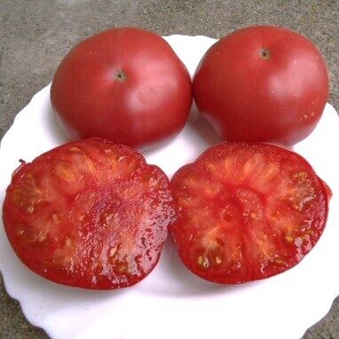 Ņinuļas rozā (Розовые от Нинули)